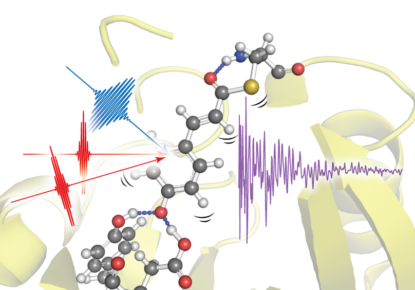 HOME Molecular Spectroscopy Laboratory RIKEN