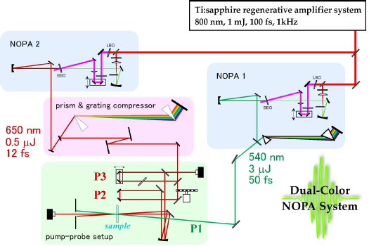 The original laser line as resolved by the prism spectrometer